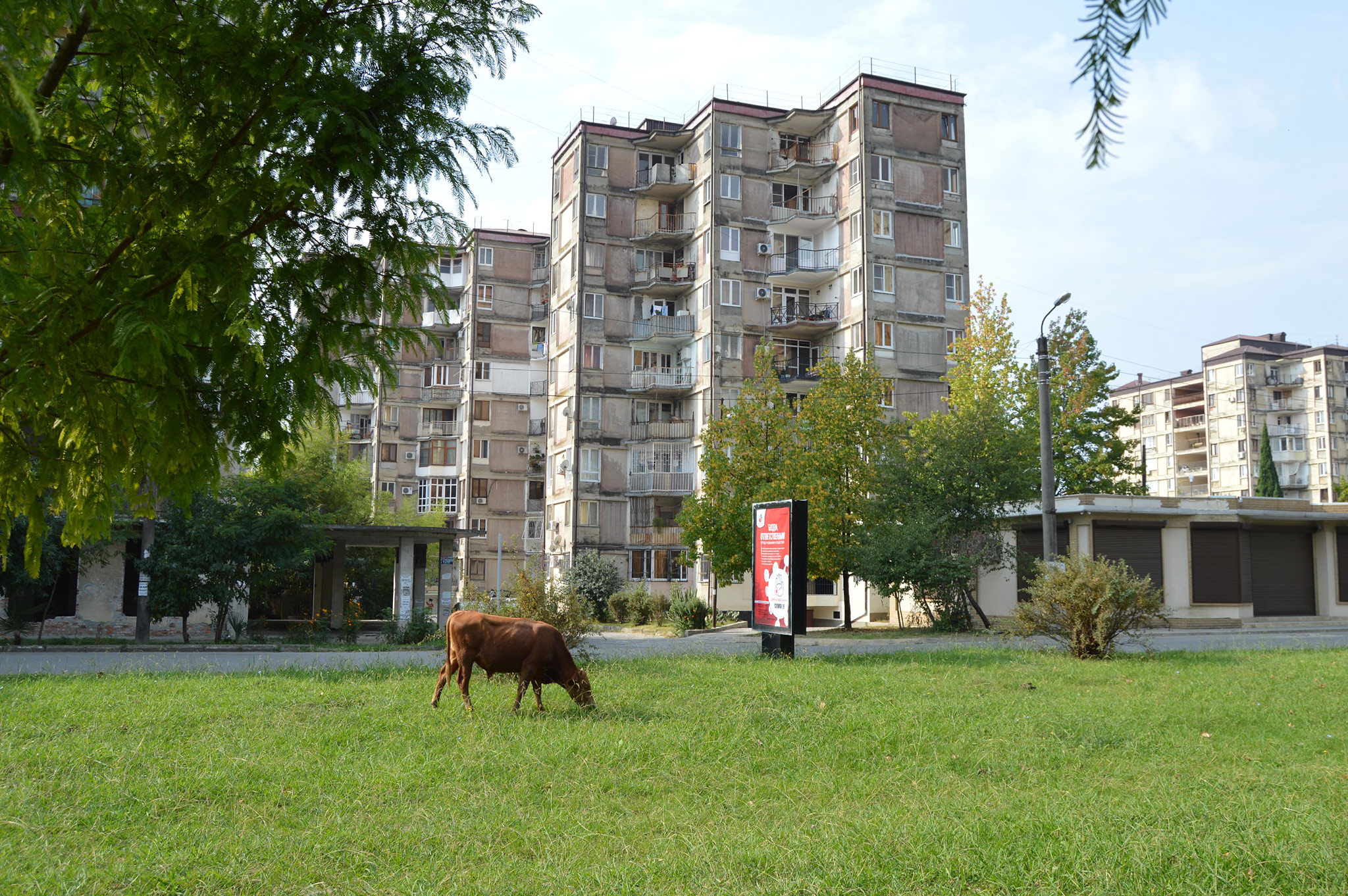 Sukhumi (Сухуми)